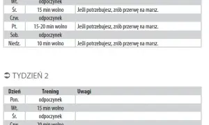 Ile trwa przygotowanie do maratonu? Fakty, które musisz znać